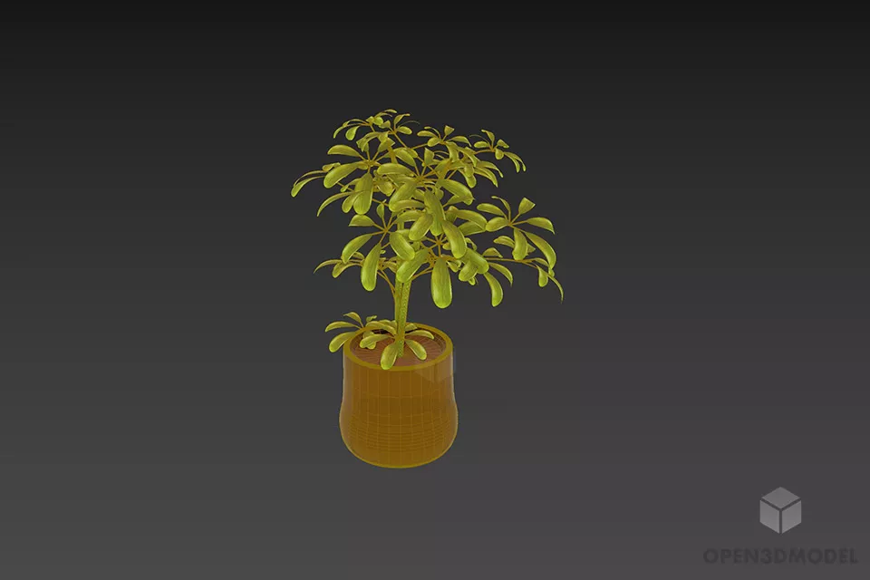 Clay Pot With Small Plant 3d model 2