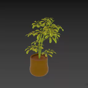 Clay Pot With Small Plant 3d model