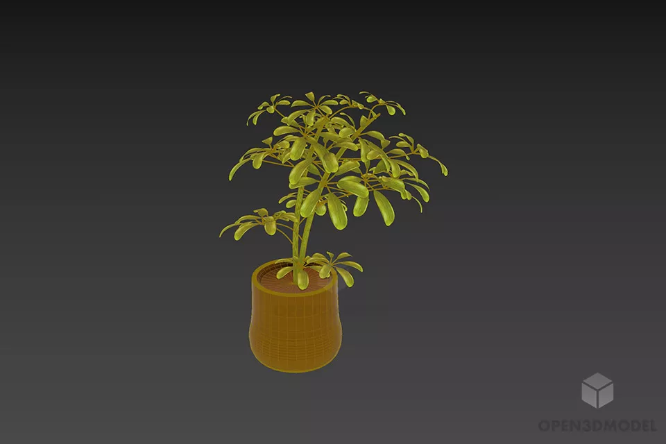 Clay Pot With Small Plant 3d model 3