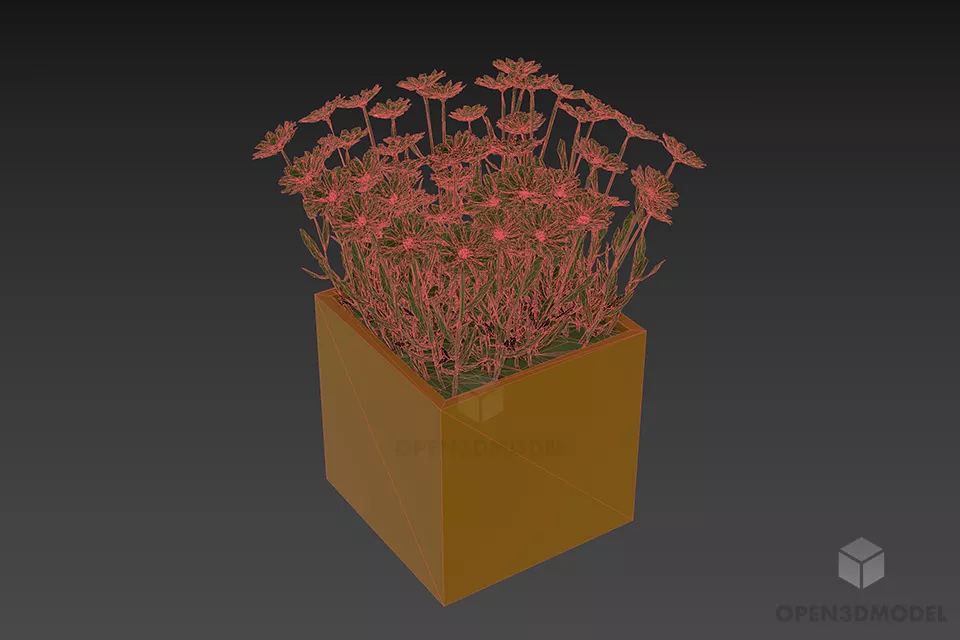 Flower Pot Camomile 3d model 2