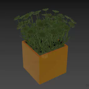 Flower Pot Camomile 3d model