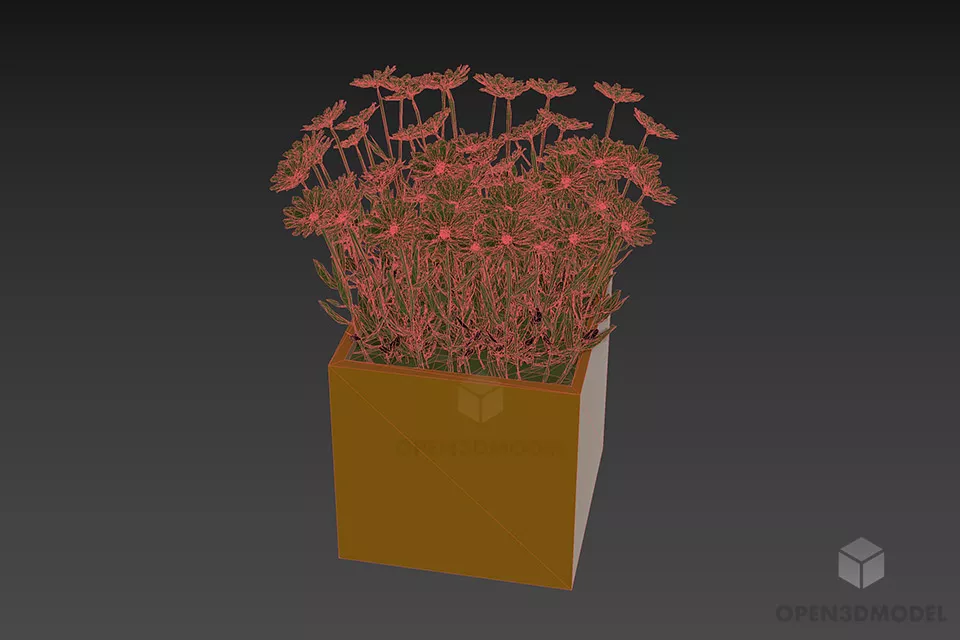 Flower Pot Camomile 3d model 3