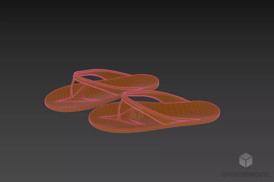 Fashion Shoes Slippers 3d model 3