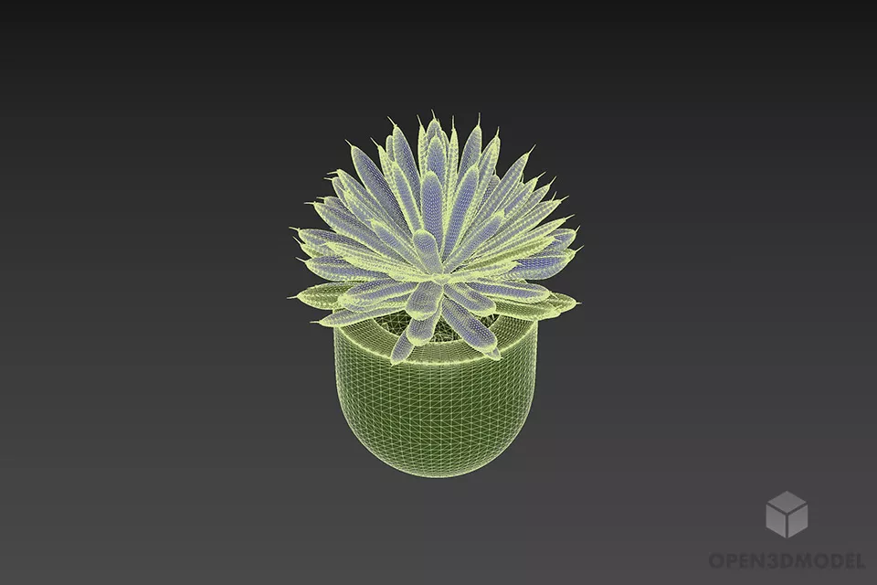 Plant Pot Aloha Leaf 3d model 3