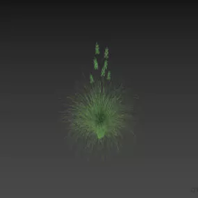 Bush Plant Lawn, Grass Plant 3d model