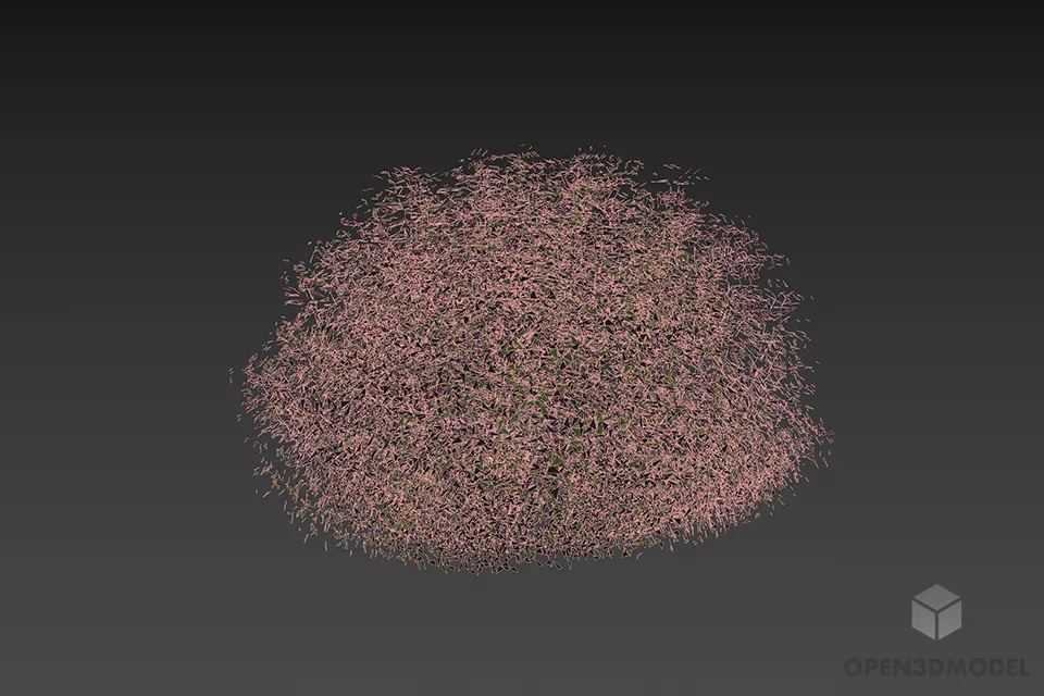 Bushes Plant Sphere Grass 3d model 2