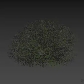 Bushes Plant Sphere Grass 3d model