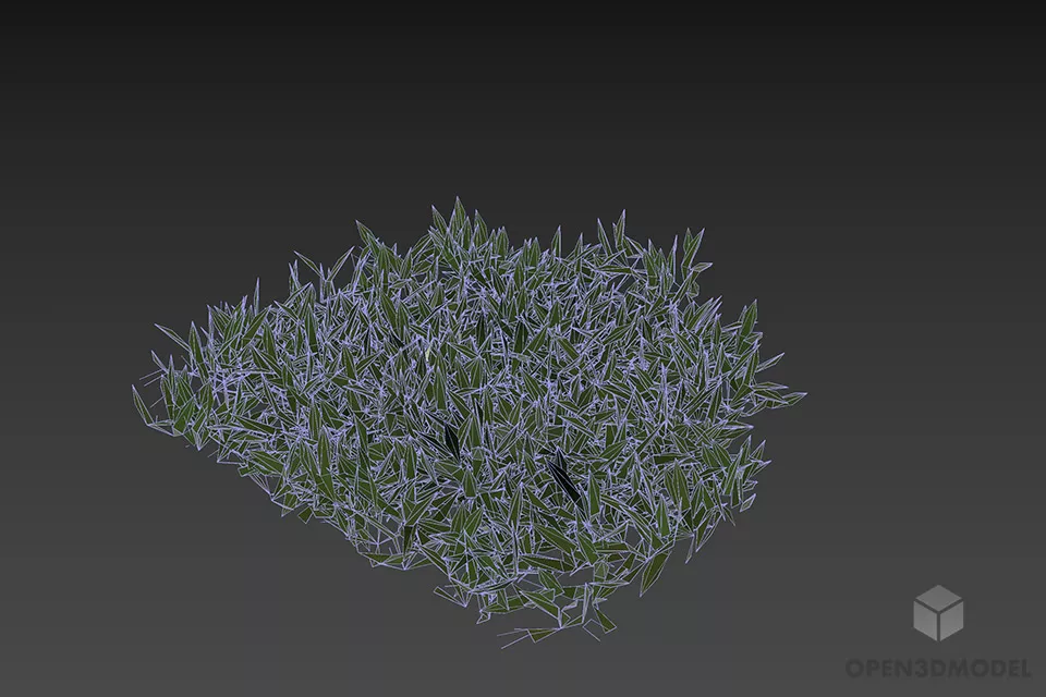 Small Garden Grass Bush 3d model 2