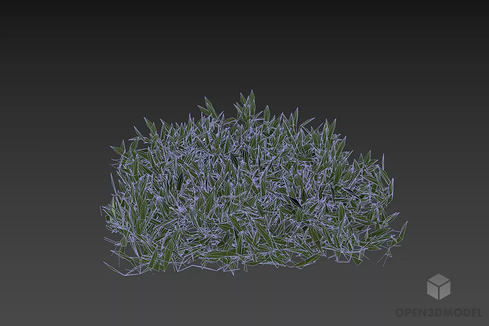 Small Garden Grass Bush 3d model 3