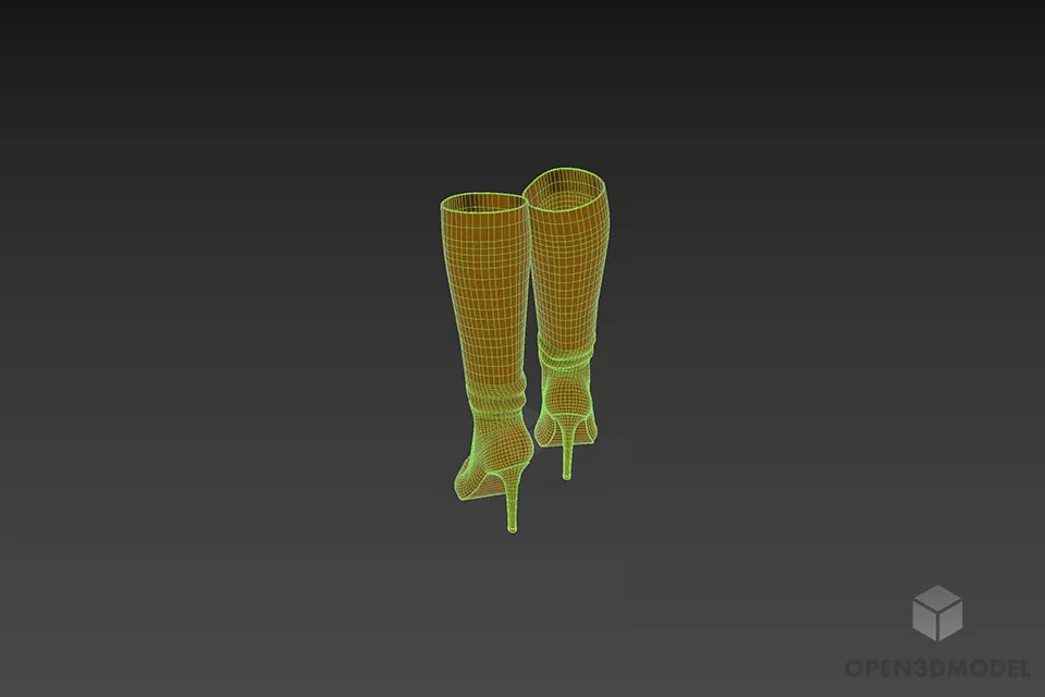 Fashion Long Boots For Women 3d model 2