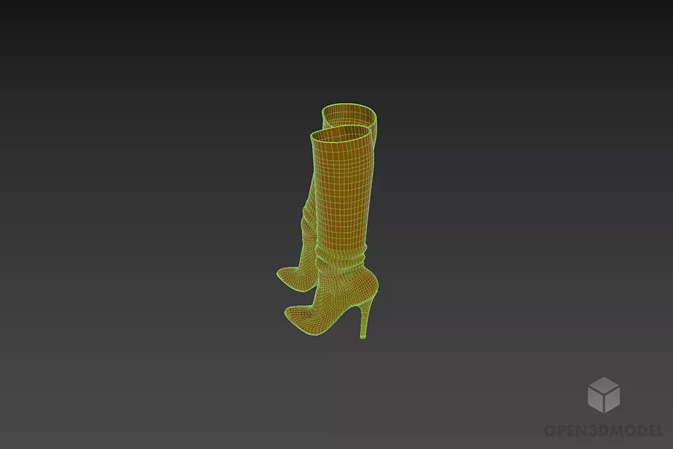 Fashion Long Boots For Women 3d model 3