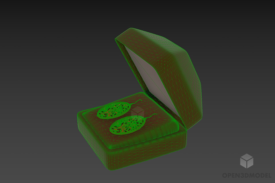 Gold Earrings In A Gift Box 3d model 2
