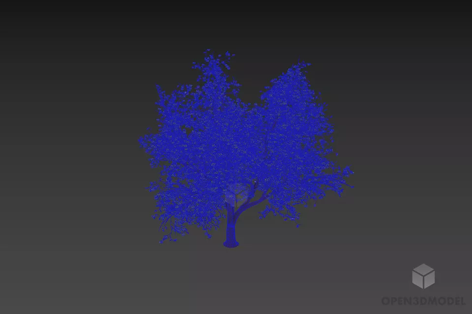 Maple Tree Large Branches Leaf 3d model 2