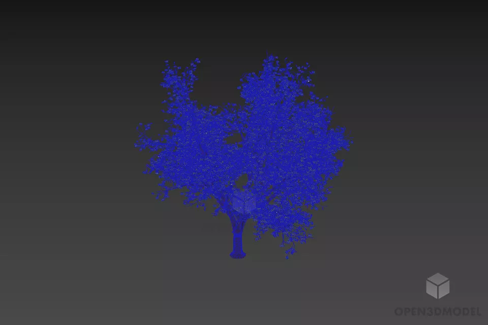 Maple Tree Large Branches Leaf 3d model 3