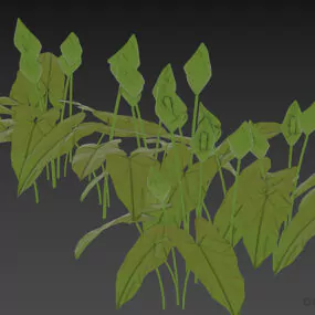 Ivy Plant Flower Palustris 3d model