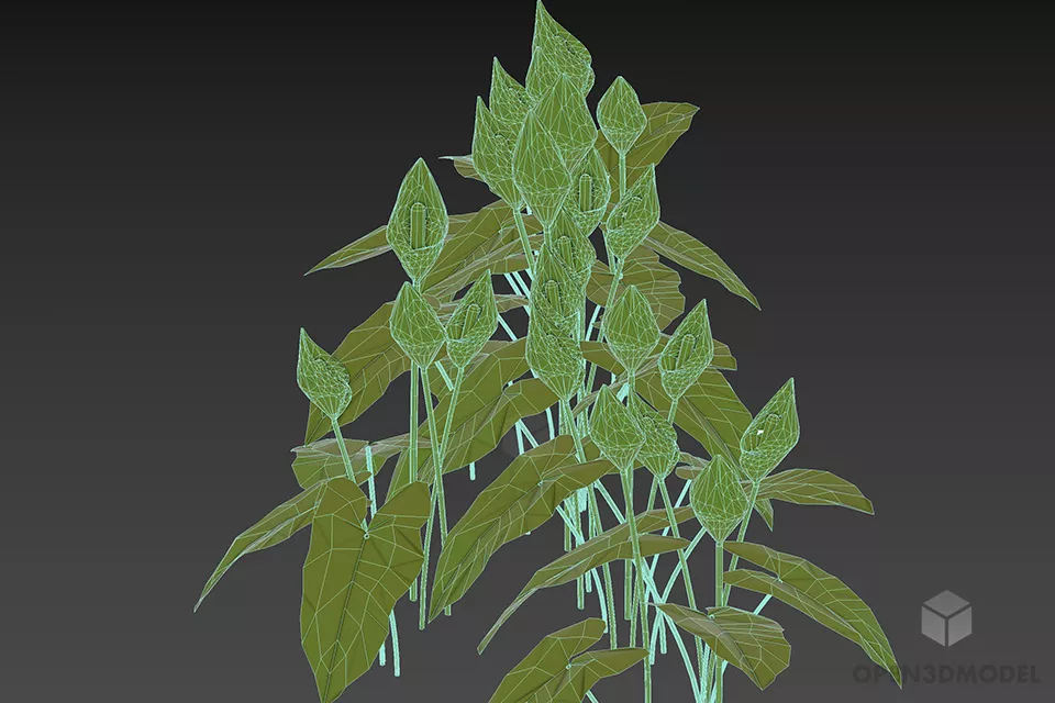 Ivy Plant Flower Palustris 3d model 3
