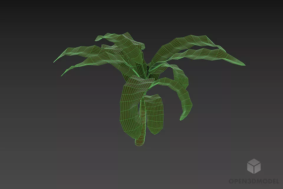 Small Palm Tree Big Leaf 3d model 3