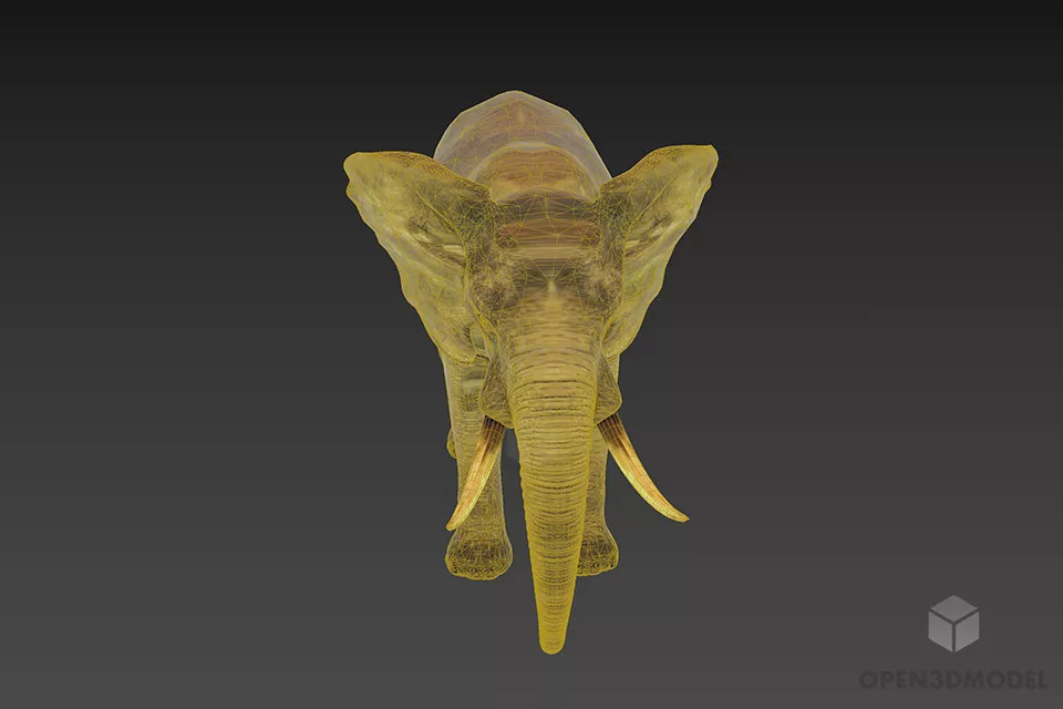 Wild Elephant With Horn 3d model 3