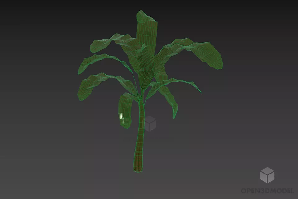 Small Palm Plant 3d model 2