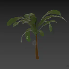 Small Palm Plant 3d model