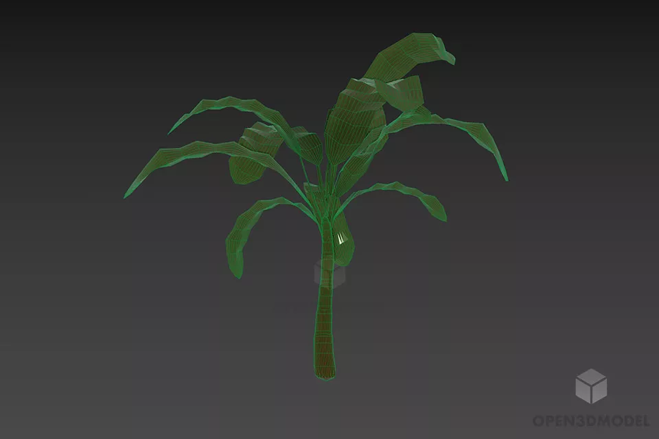 Small Palm Plant 3d model 3