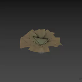 Flower Plant Pistia 3d model