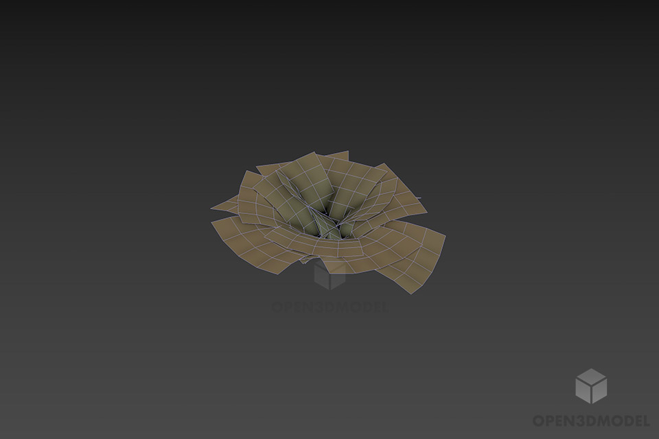 Flower Plant Pistia 3d model 3