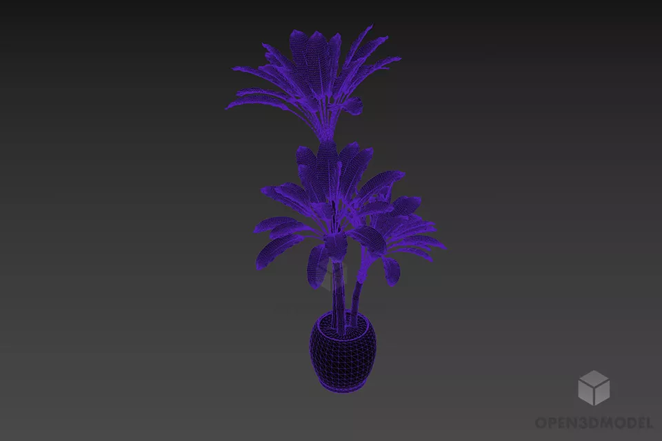 Small Palm Tree In Pot 3d model 2