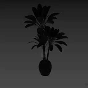 Small Palm Tree In Pot 3d model