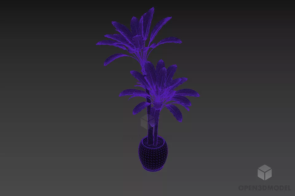 Small Palm Tree In Pot 3d model 3