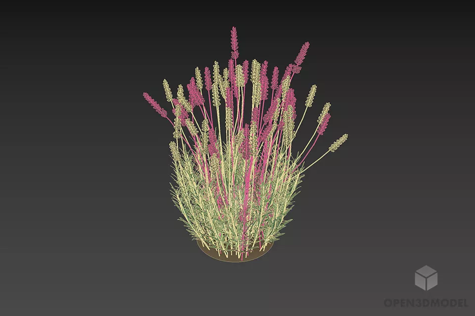 Flower Grass Bush 3d model 2 Flower Grass Bush 3d model 2
