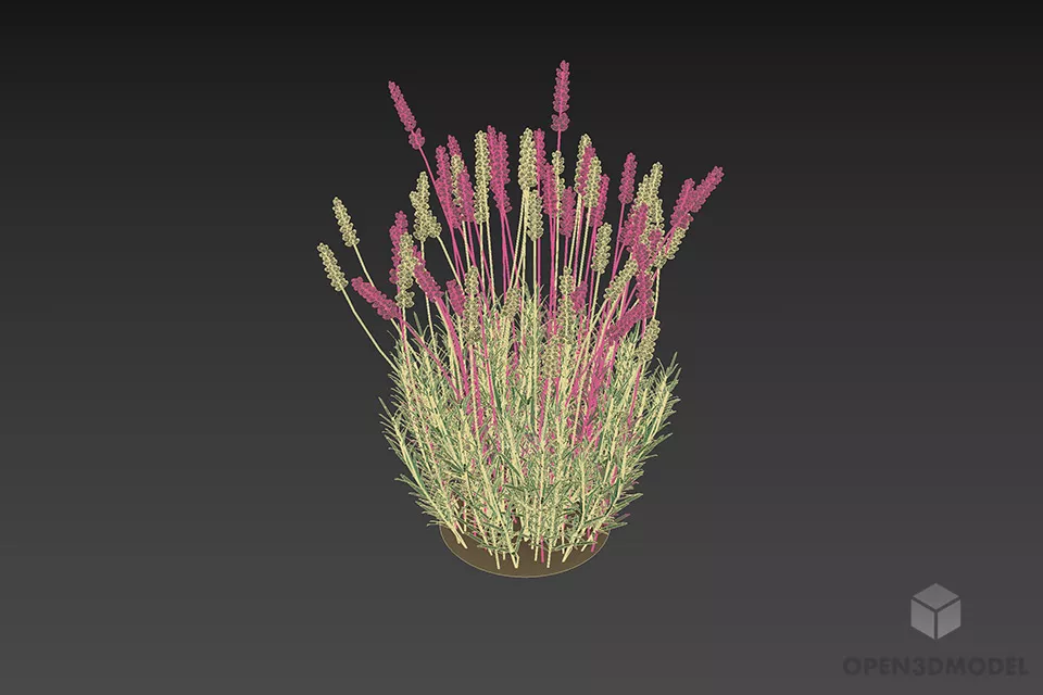 Flower Grass Bush 3d model 3 Flower Grass Bush 3d model 3