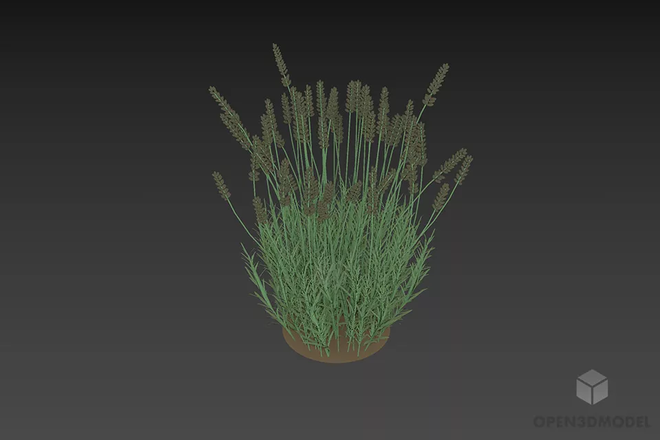 Flower Grass Bush 3d model Flower Grass Bush 3d model