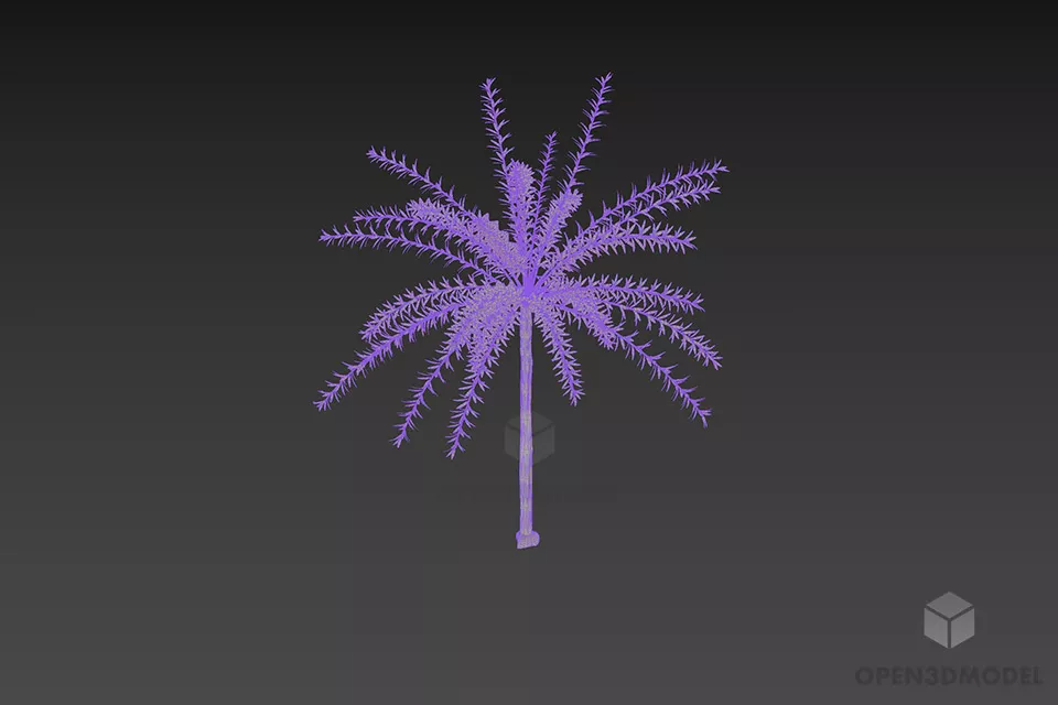 Tree Hakuro Nishiki Flamingo Willow Plant 3d model 2 Tree Hakuro Nishiki Flamingo Willow Plant 3d model 2