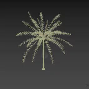 Tree Hakuro Nishiki Flamingo Willow Plant 3d model
