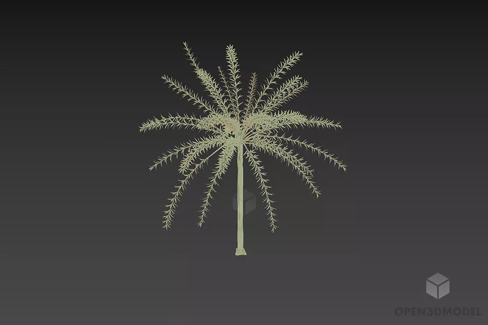 Tree Hakuro Nishiki Flamingo Willow Plant 3d model Tree Hakuro Nishiki Flamingo Willow Plant 3d model