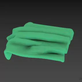 Wrinkle Veil 3d model