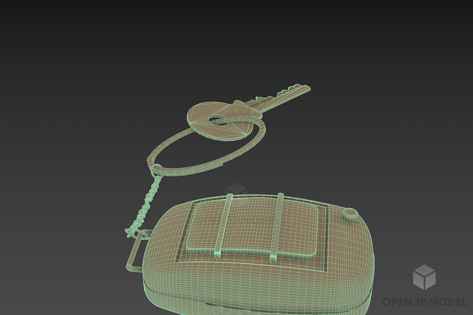 Key With Remote 3d model 3