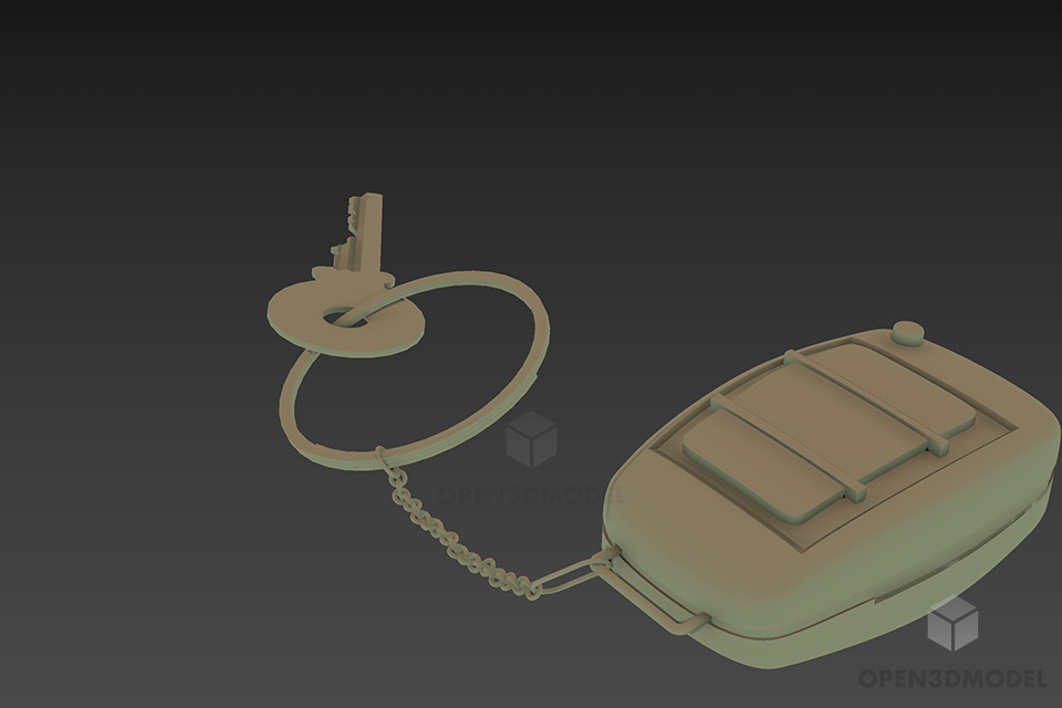Key With Remote 3d model