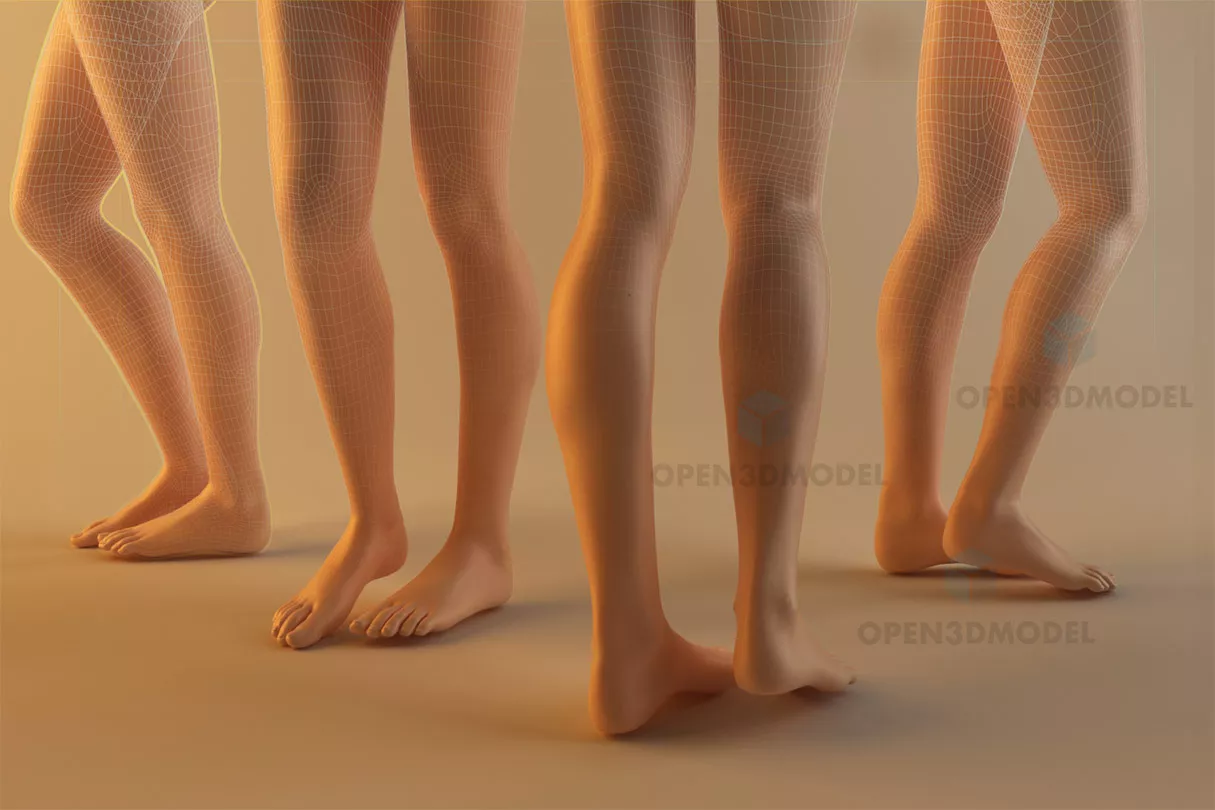 Realistic Woman Leg Character 3d model Realistic Woman Leg Character 3d model