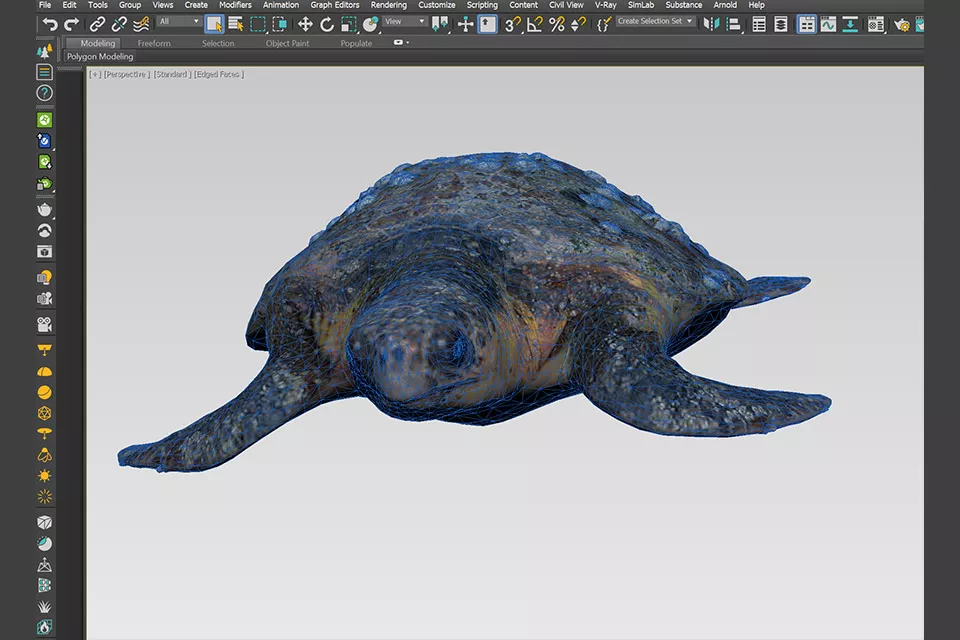 Realistic Sea Turtle Animal 3d model 2