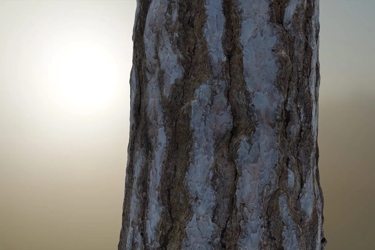 Tree Log Realistic Free 3d Model - .Blend, .C4d, .Dae, .Max, .Obj ...