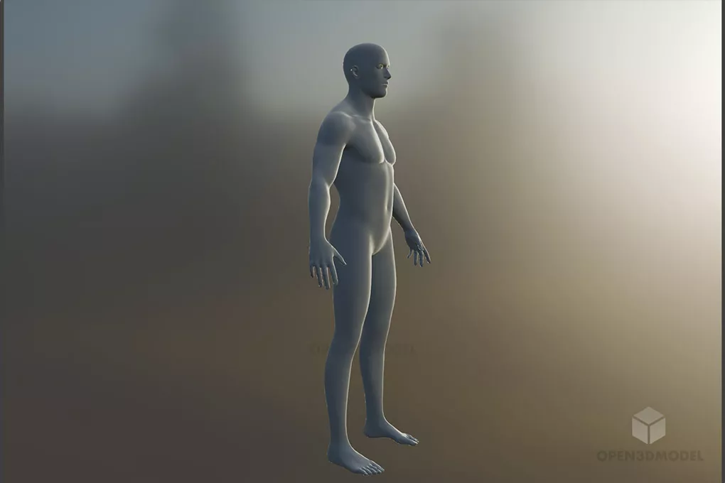 Man Base Mesh Character 3d model 2