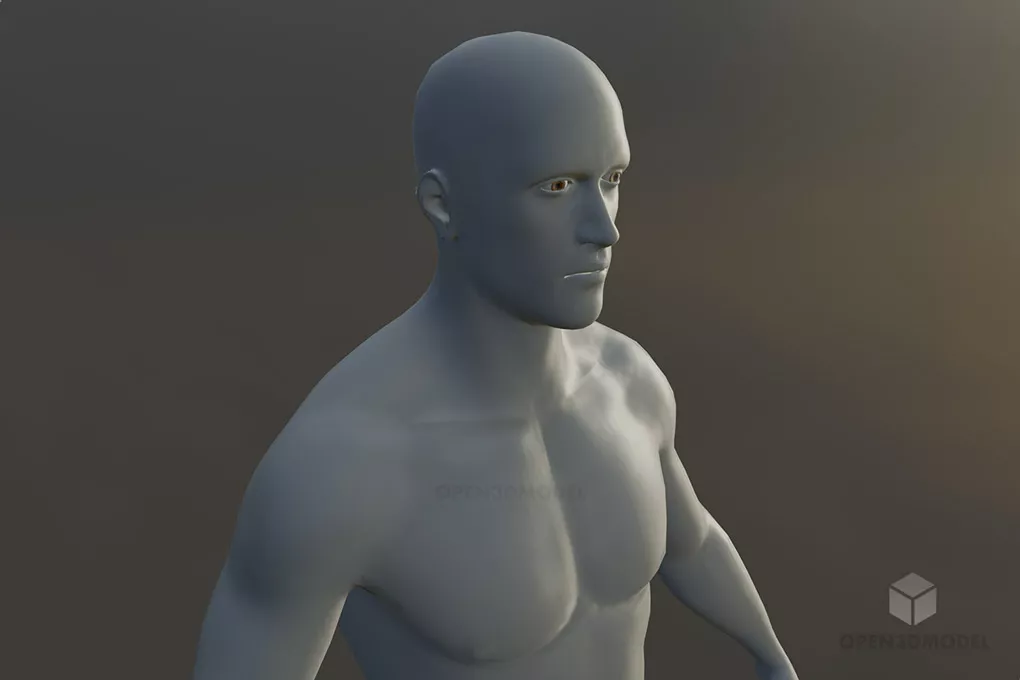 Man Base Mesh Character Free 3d Model - .Blend, .C4d, .Dae, .Max, .Obj ...