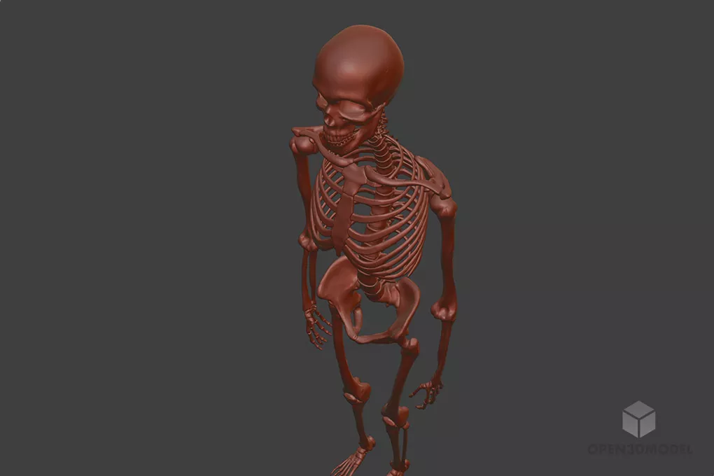 Full Human Skeleton 3d model 2