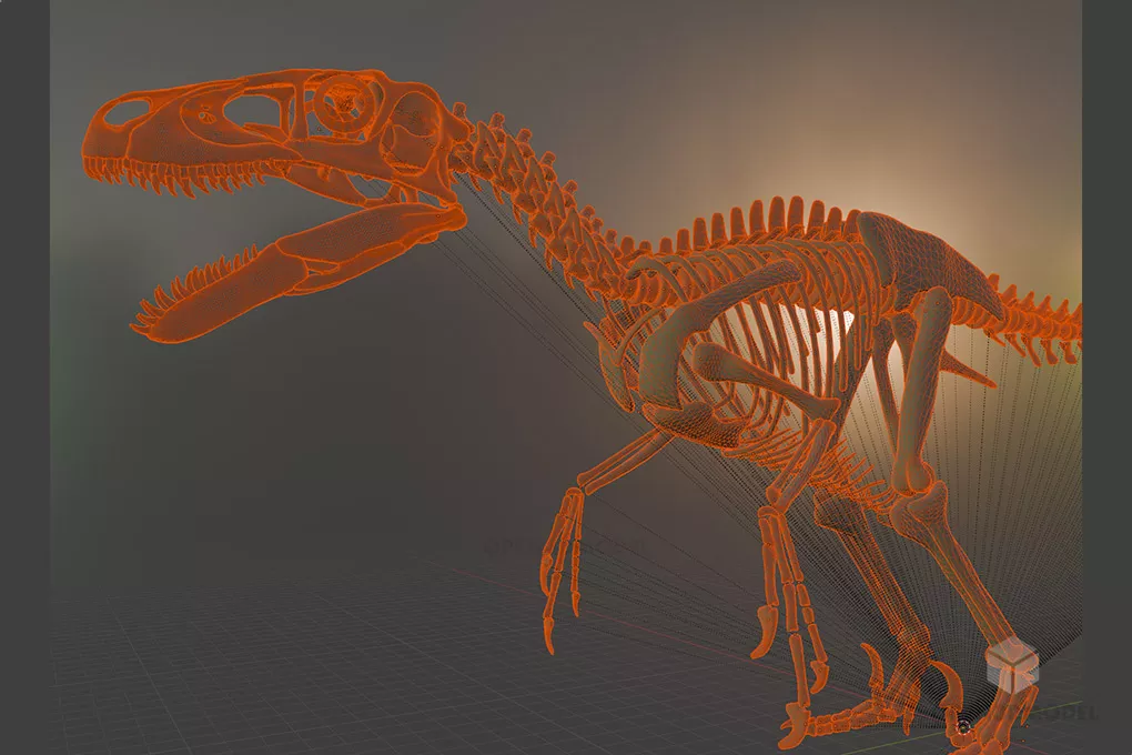 Utahraptor Dinosaur Animal Skeleton 3d model 2