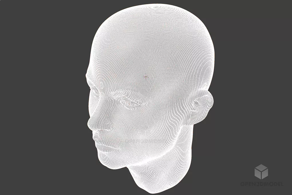 Female Head Character 3d model 2