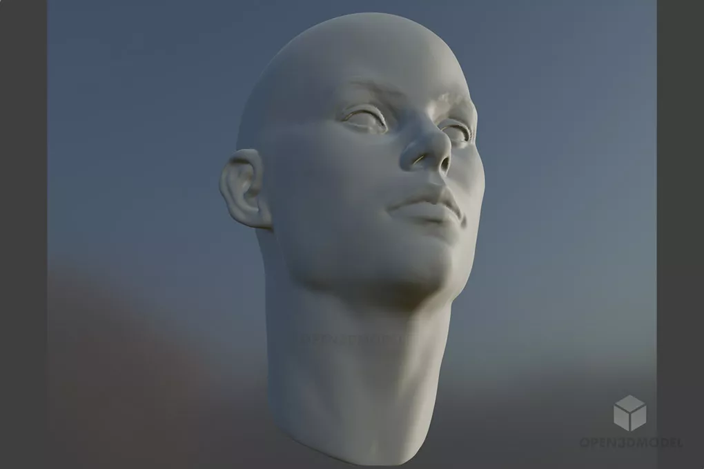 Female Head Character Free 3d Model - .C4d, .Dae, .Fbx, .Obj, .Skp ...