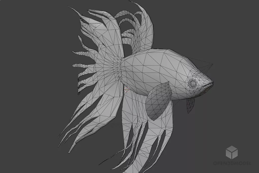 Betta Fish Aquarium Animal 3d model 2