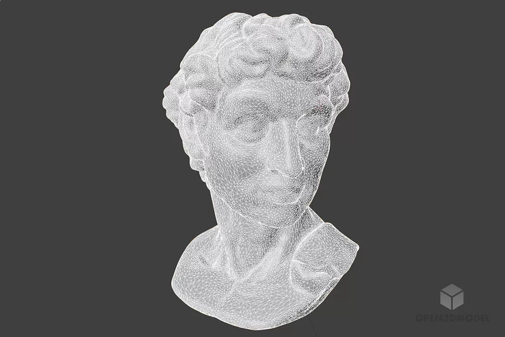 David Head Bust Sculpture 3d model 2